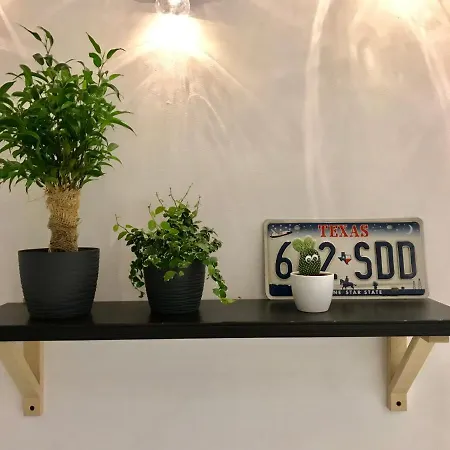 Magic Art-plant Modern Studio Oldtown-2min!